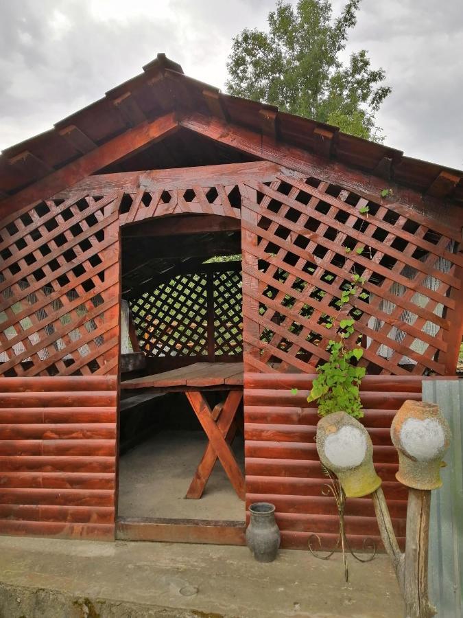 Villa У Катерини Dvozhets Exterior foto